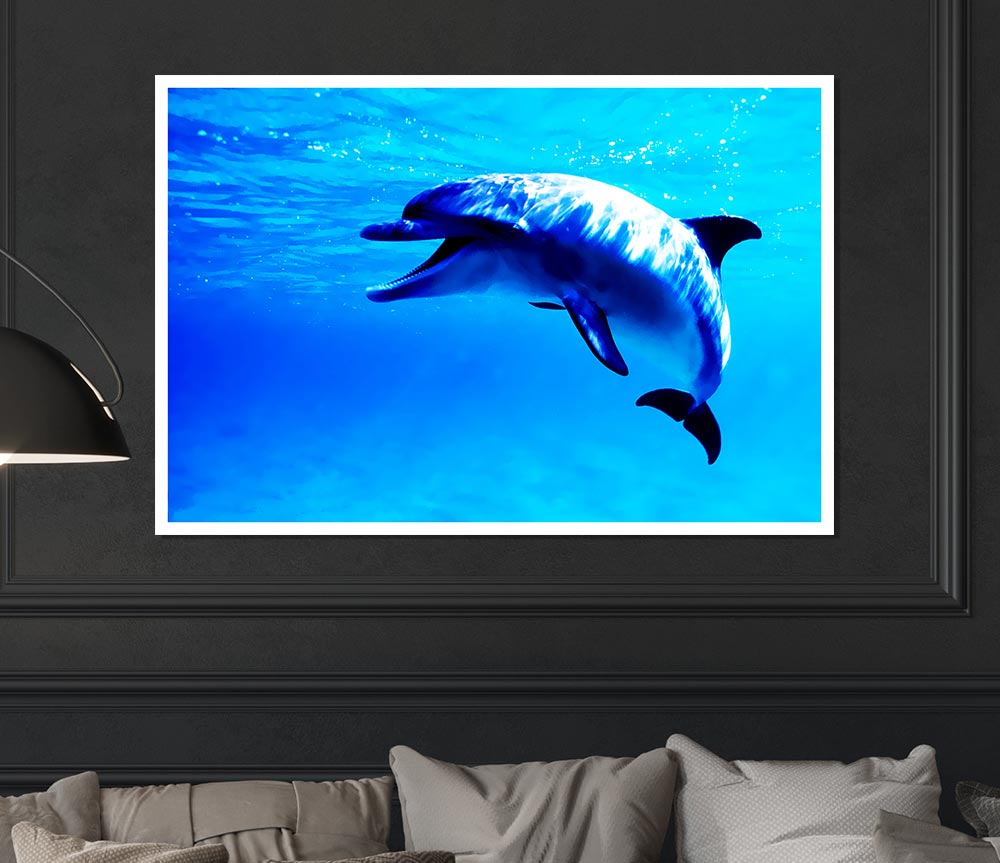 Dolphin Talk Print Poster Wall Art