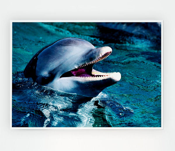 Dolphins Call Print Poster Wall Art