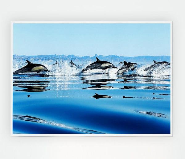 Dolphins In The Sea Print Poster Wall Art