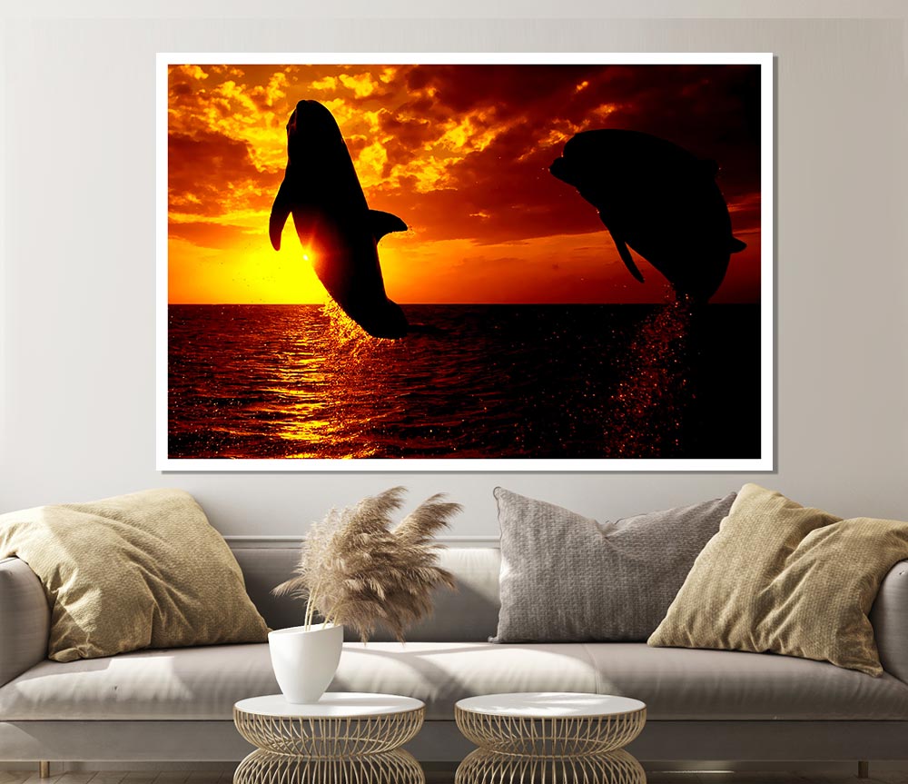 Dolphins Sunglow Print Poster Wall Art