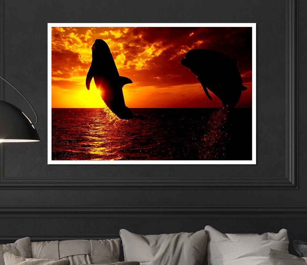 Dolphins Sunglow Print Poster Wall Art