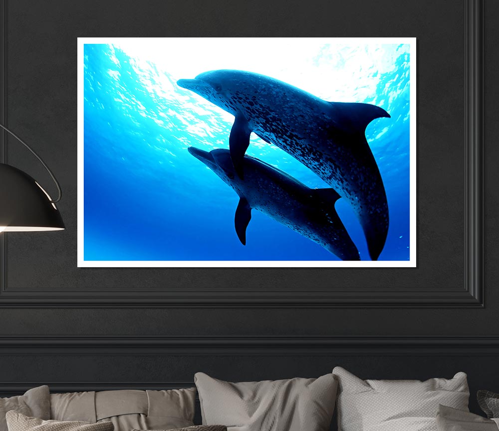 Dolphins Under The Sea Print Poster Wall Art