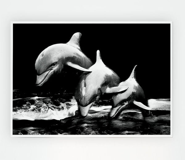 Dolphins Print Poster Wall Art