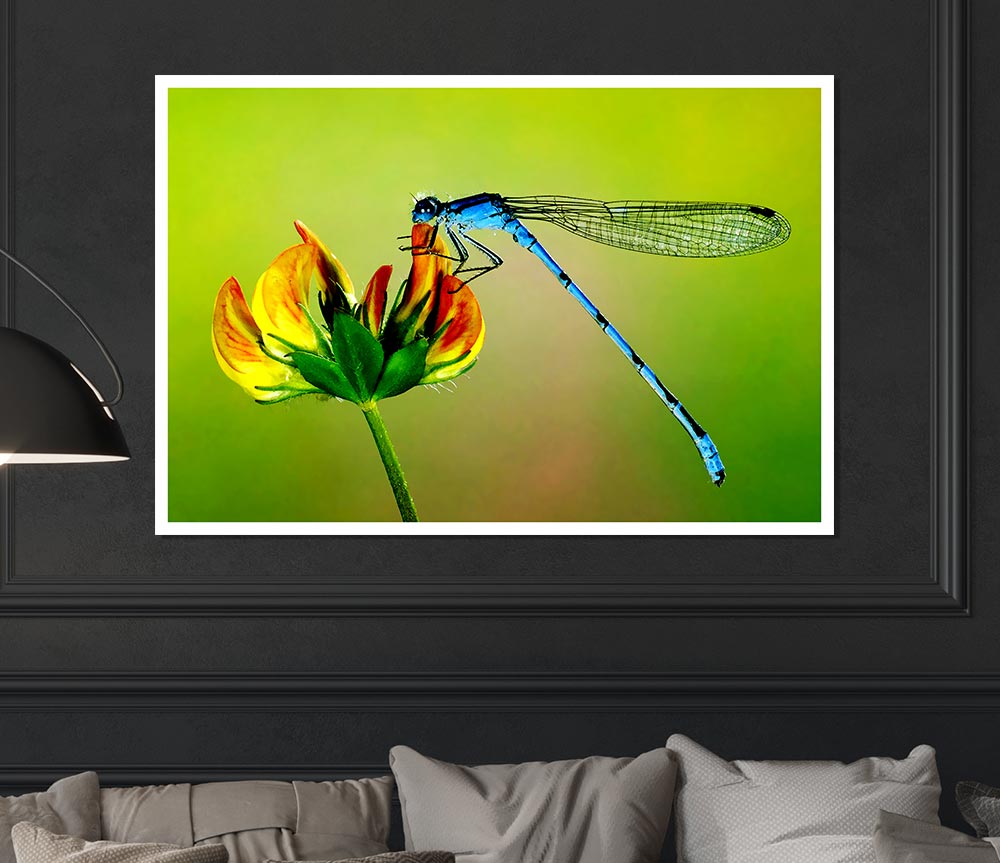 Dragonfly Beauty Print Poster Wall Art