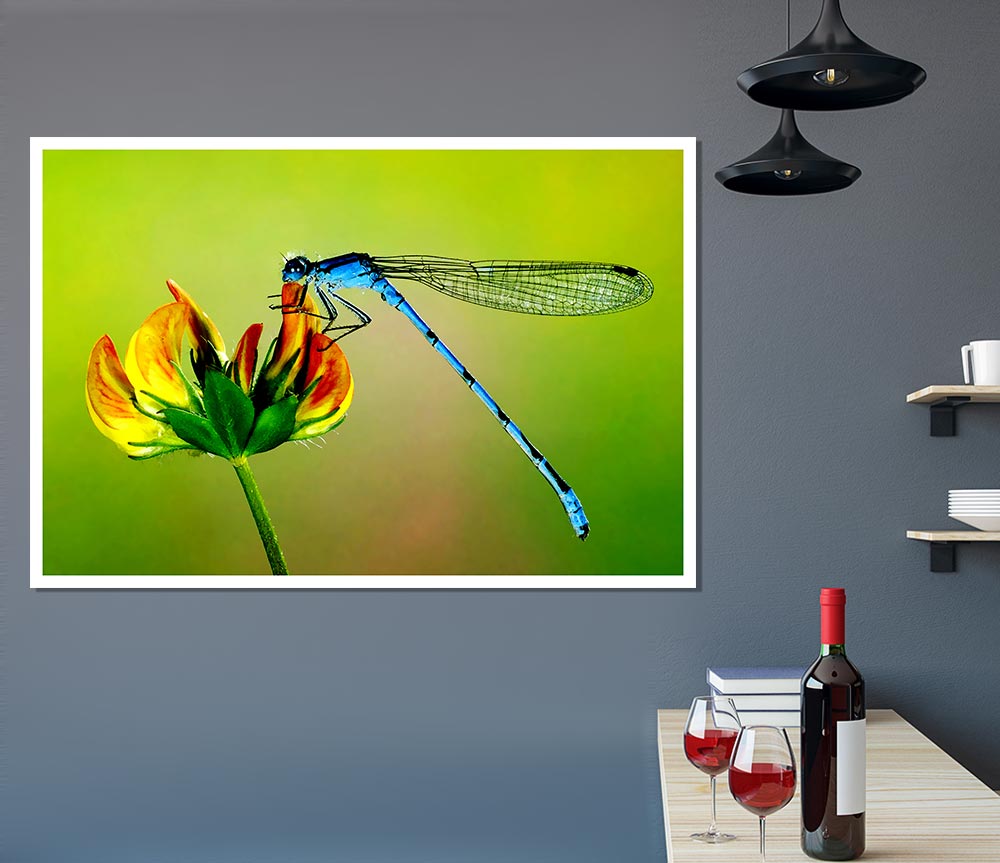 Dragonfly Beauty Print Poster Wall Art