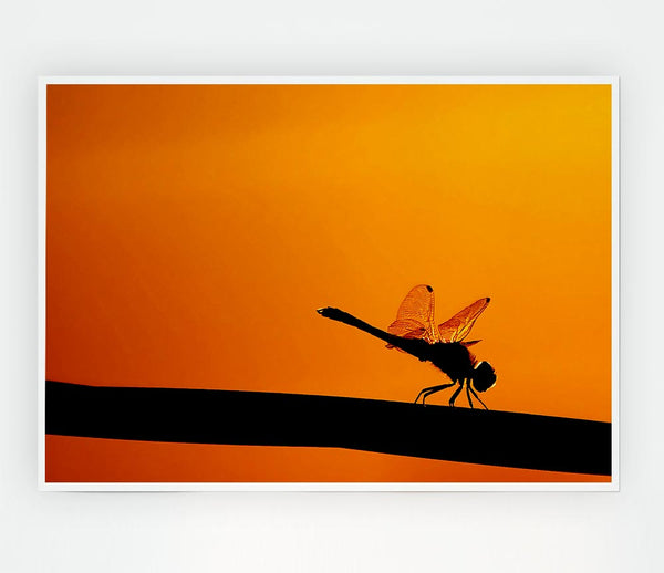 Dragonfly On A Stick Print Poster Wall Art