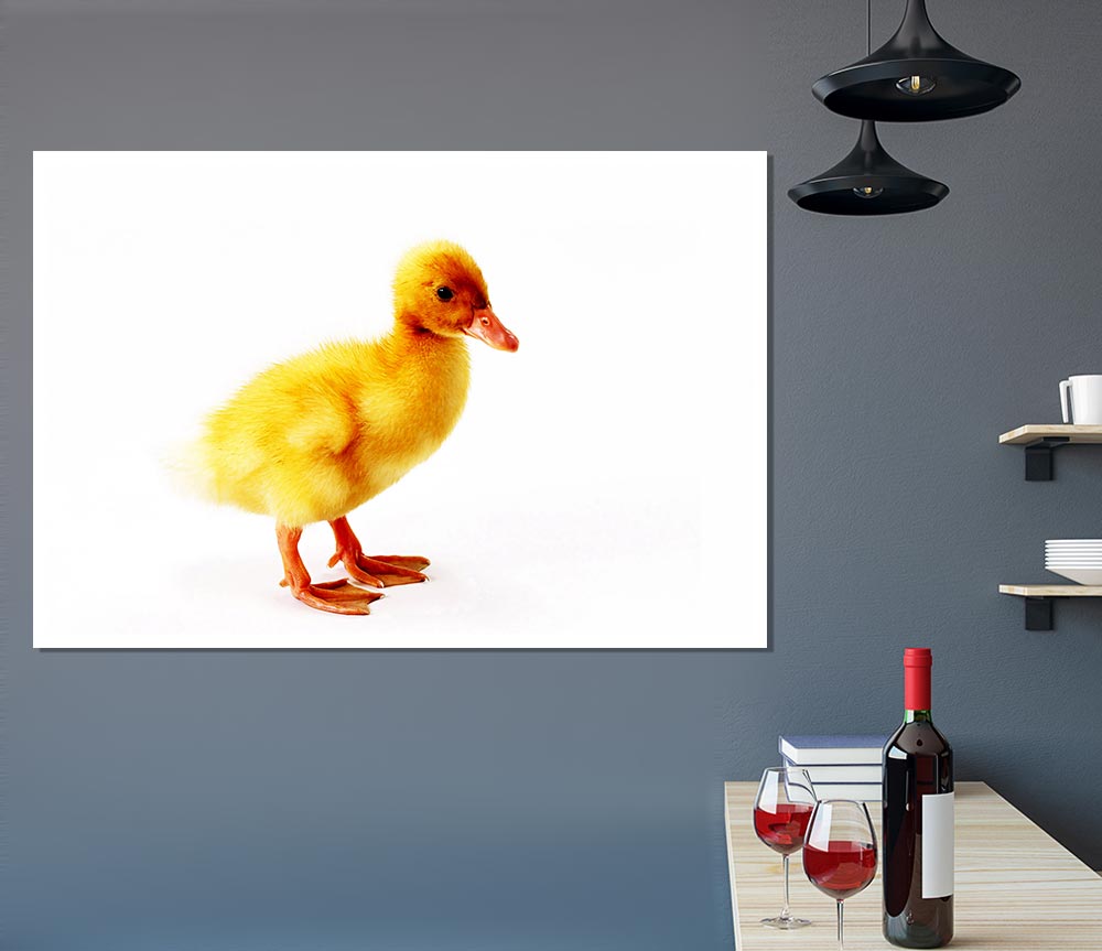 Duckling Print Poster Wall Art