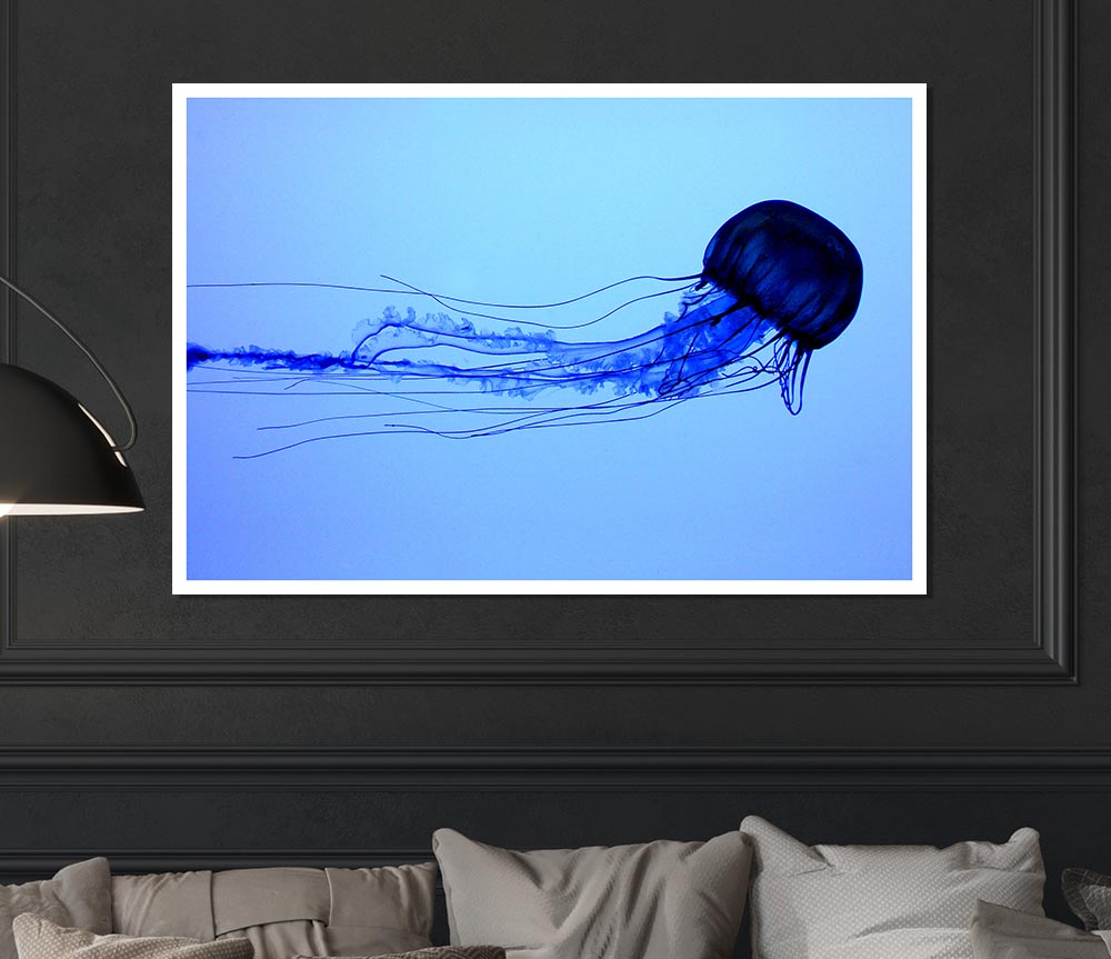 Elegant Jellyfish Print Poster Wall Art