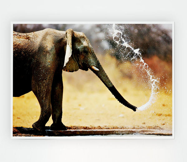 Elephant Bath Print Poster Wall Art