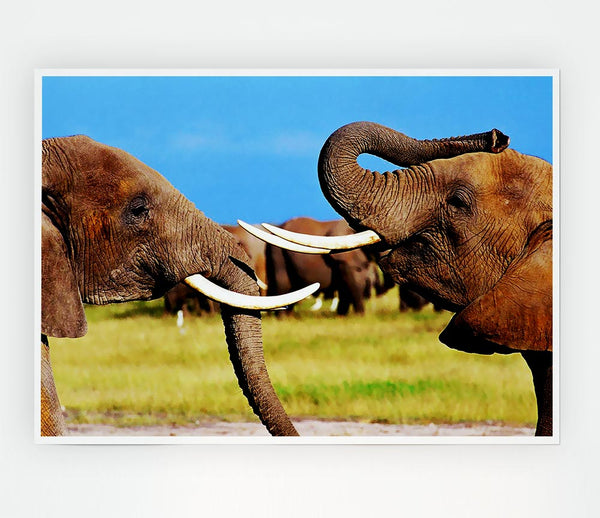 Elephant Chat Print Poster Wall Art