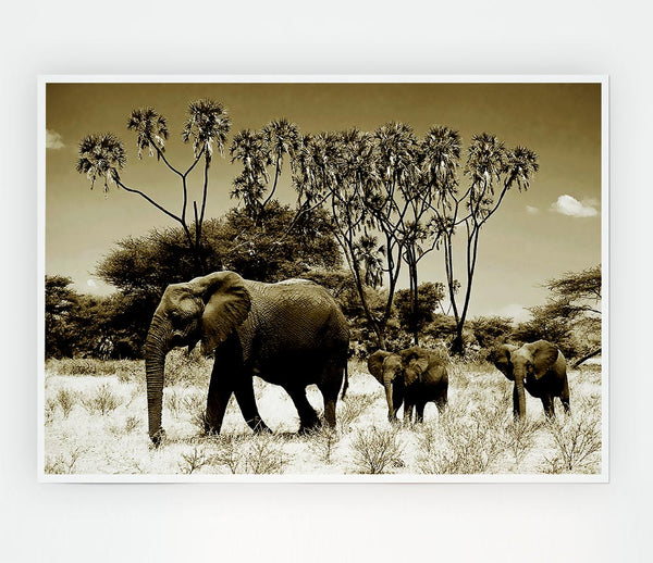 Elephant Family Print Poster Wall Art