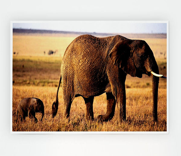 Elephant Mother And Baby Print Poster Wall Art