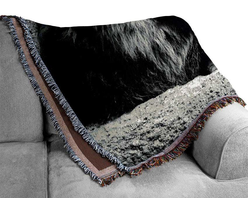 Lion Family Bond Woven Blanket