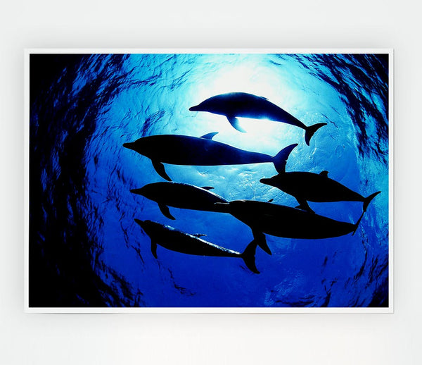 Family Of Dolphins Print Poster Wall Art