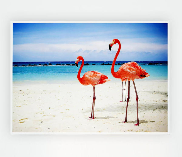 Flamingo Paradise Print Poster Wall Art