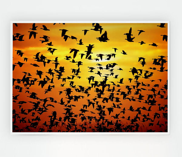 Flight Of The Golden Birds Print Poster Wall Art