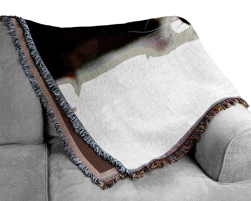 Florida Panther In The Snow Woven Blanket