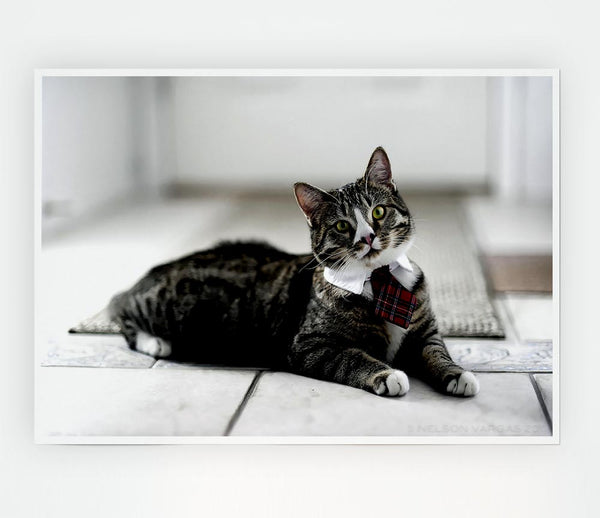 Funny Cat Wears Tie Print Poster Wall Art