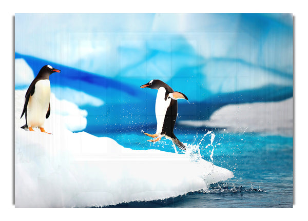 Eselspinguine Antarktis