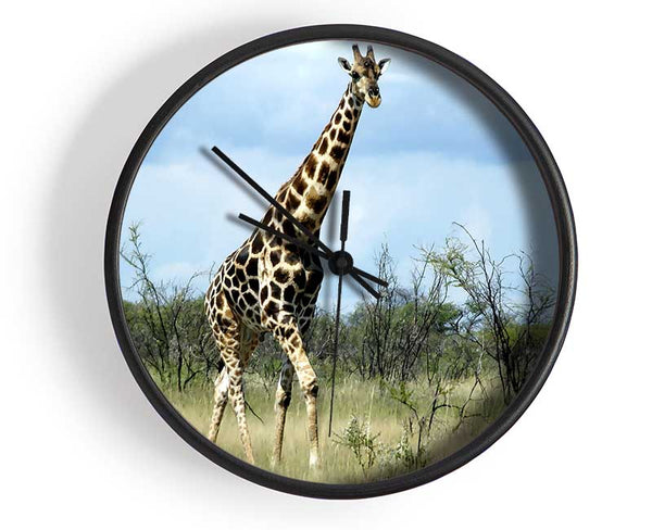 Giraffe In The Wilds Of Namibia Clock - Wallart-Direct UK