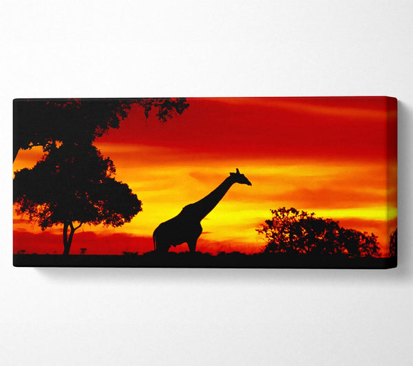 Giraffe At Dawn