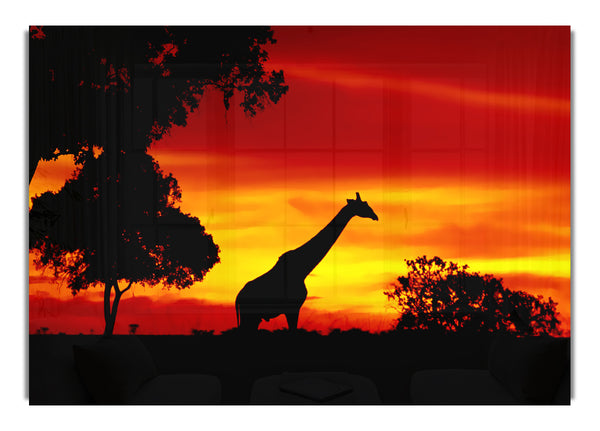 Giraffe At Dawn