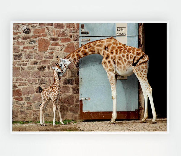 Giraffe Motherly Love Print Poster Wall Art