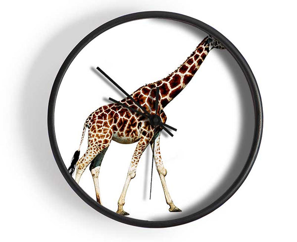 Giraffe Walk Clock - Wallart-Direct UK