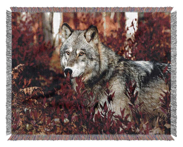 Gray Wolf Woven Blanket