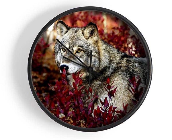 Gray Wolf Clock - Wallart-Direct UK
