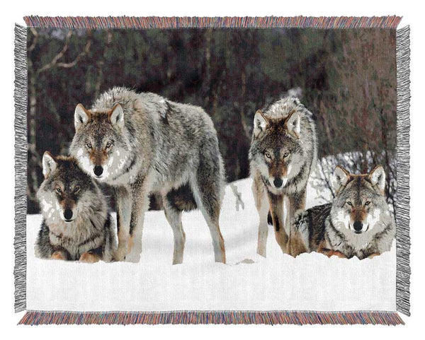 Gray Wolves Norway Woven Blanket