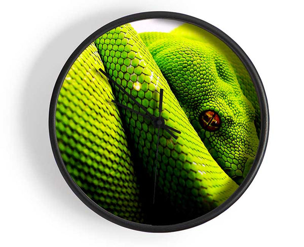 Green Snake Huddle Clock - Wallart-Direct UK