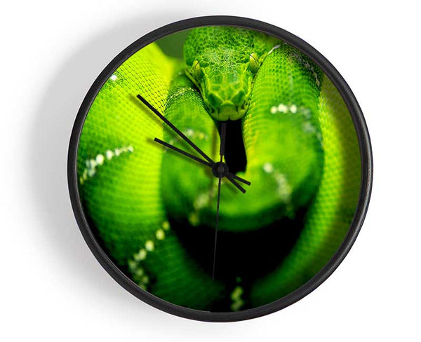 Green Snake Clock - Wallart-Direct UK