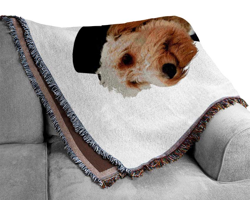 Groom Dog Woven Blanket