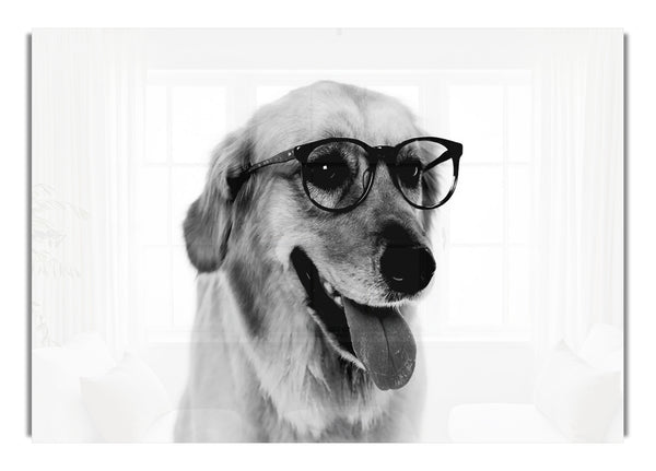 Hast du meine Brille gesehen?