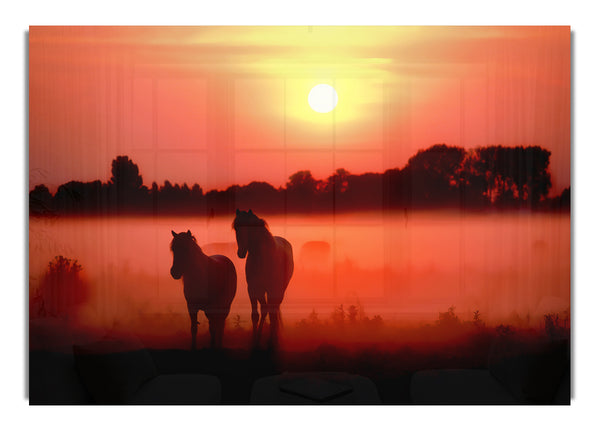 Pferde im Morgengrauen