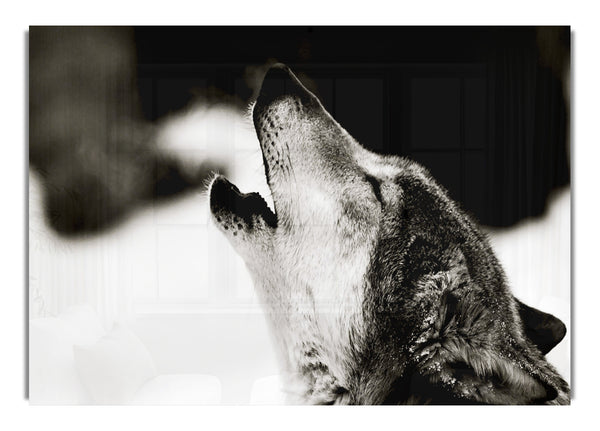 Heulender Wolf