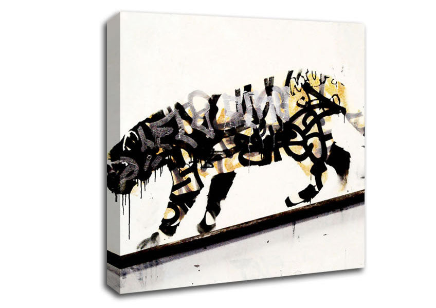 Picture of Tiger Square Canvas Wall Art