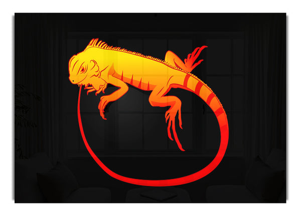 Leguan 2