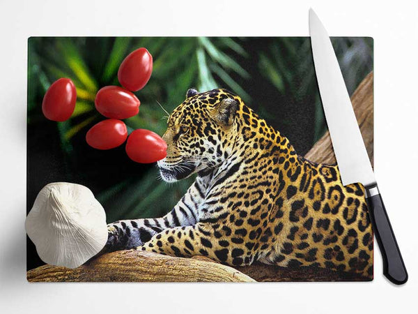 Jaguar In The Amazon Rainforest Glass Chopping Board