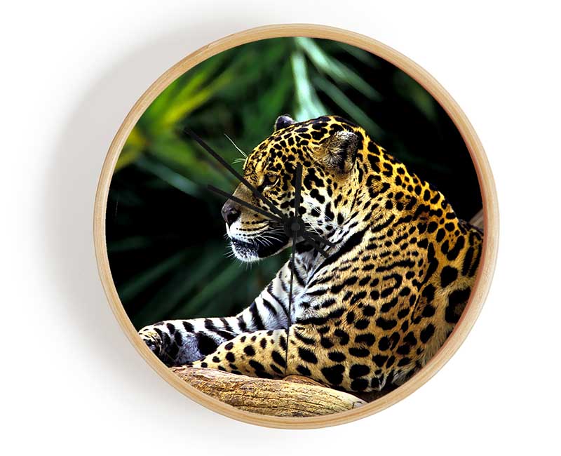Jaguar In The Amazon Rainforest Clock - Wallart-Direct UK