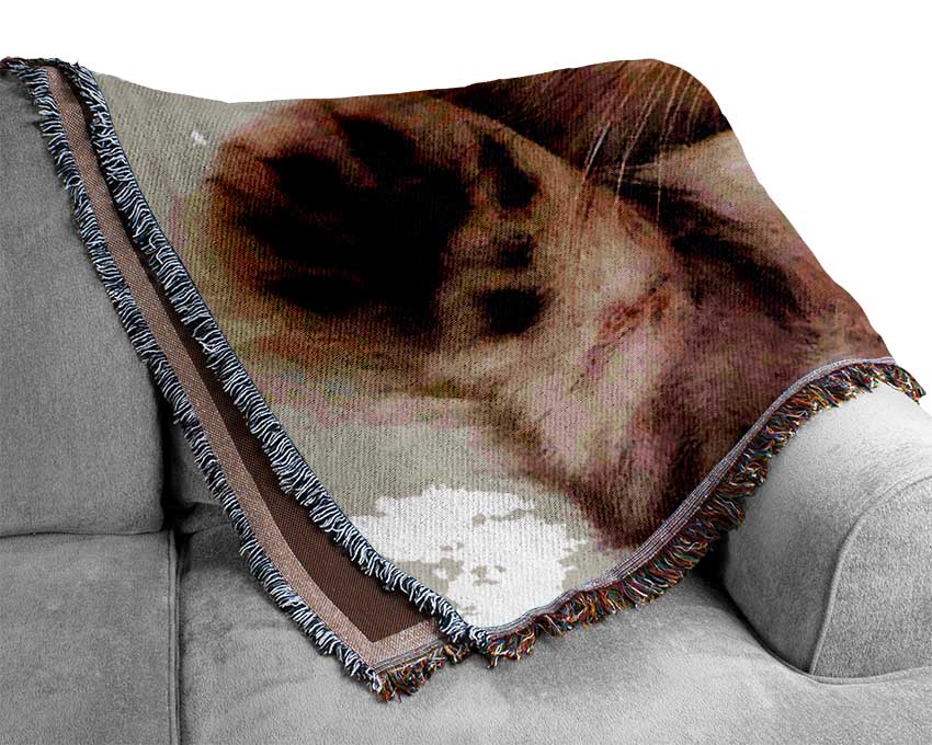 Kitten Love Woven Blanket