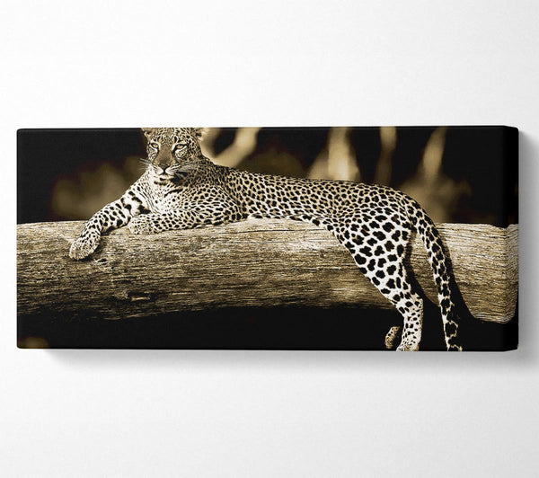 Leoparden-Lazy-Tage