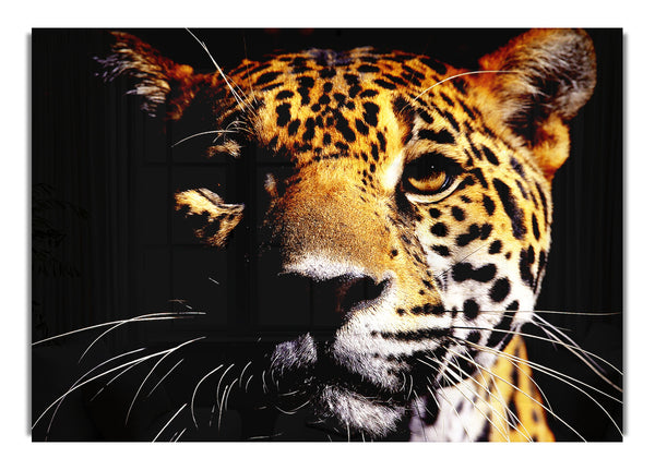 Leopardenbeten