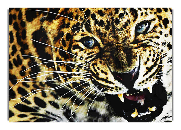 Leoparden-Rot