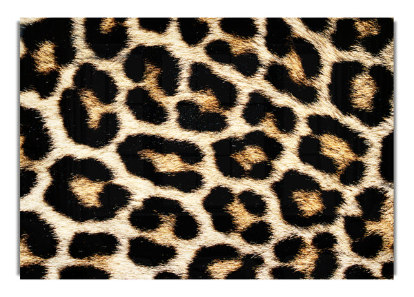 Leopardenfell