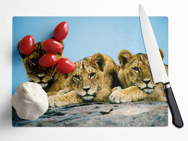 Lion Cub Trio Glass Chopping Board