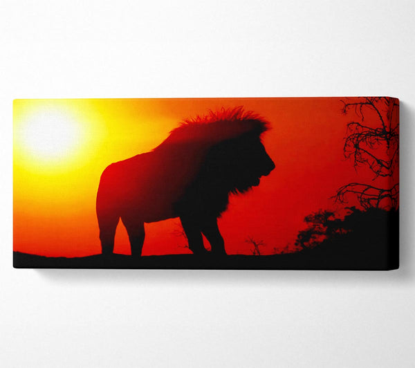 Löwen-Sonnenuntergang