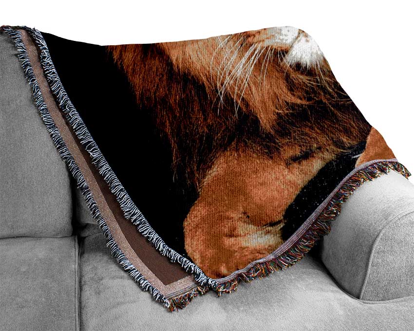 Lion Tiger Love Woven Blanket
