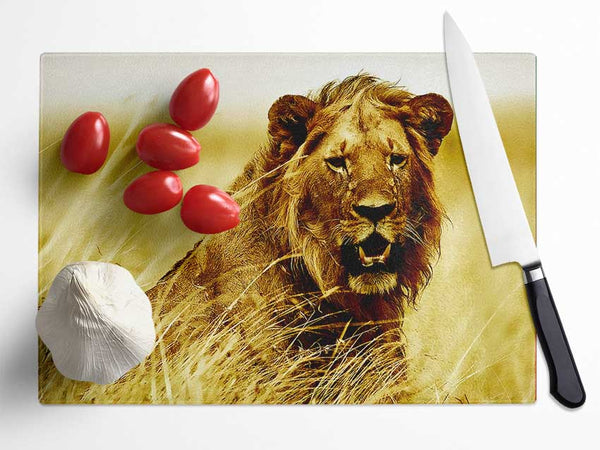 Lion Watching Out For Dinner Glass Chopping Board